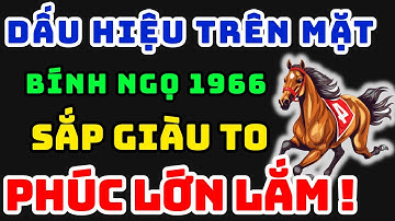 Bính Ngọ 1966 Có 1 Trong 6 Đặc Điểm Này Sẽ Được Tổ Tiên Độ Mạng, Thần Phật Dõi Theo Chỉ Hưởng Phước