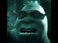 Stuck Editing This Now That ST Is Over 🤢| Shrek Edit | #shrek