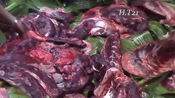 Hunting Deer, Wild Boar - Yos Hav Zoov tua Mos Lwj, Npua teb, Ntses