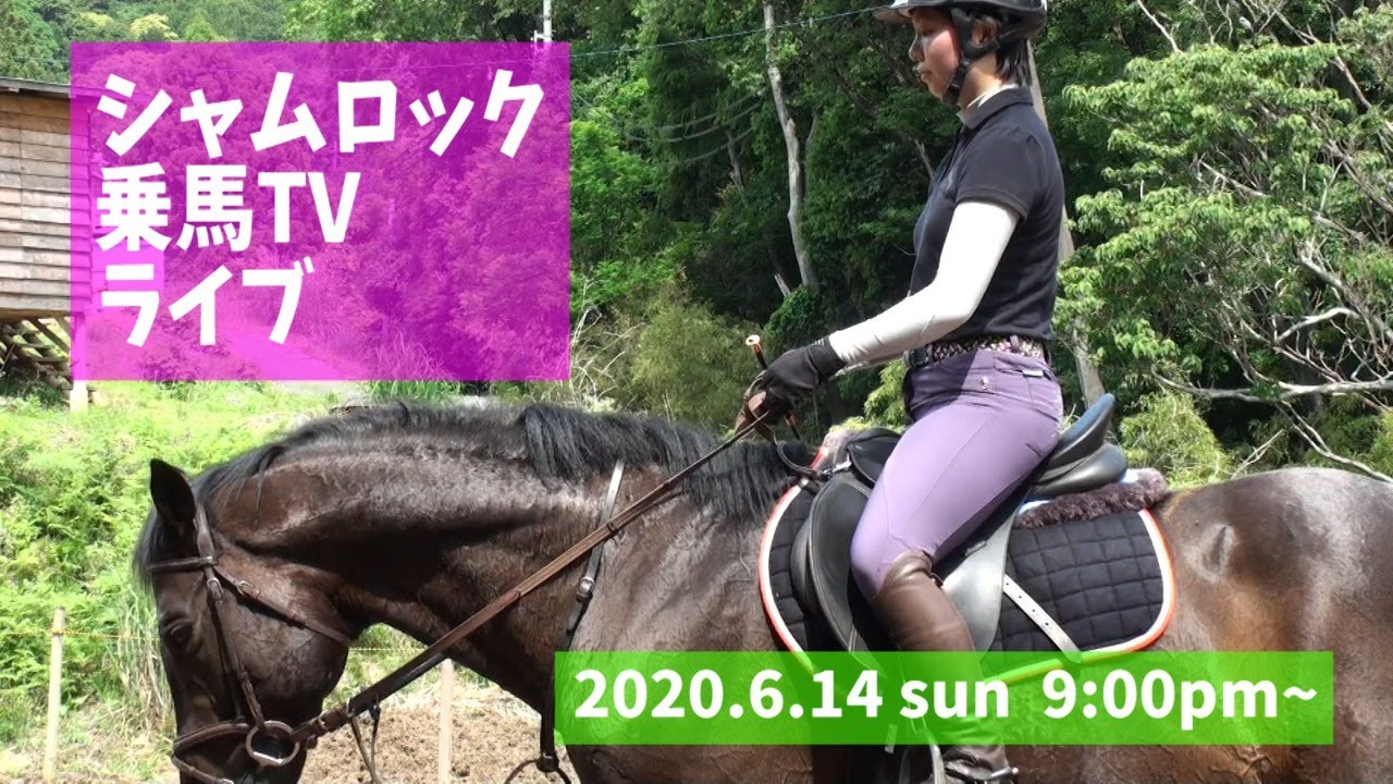 乗馬キュロット 他3点 （乗馬を始めるには？体験方法や費用など初心者  