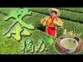 【激ウマ】お茶のいいところだけ摘んで最高級のお茶をつくるぞ!【狭山茶】