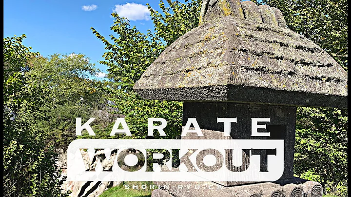 45 Minute Karate Workout - Oct 2 2021