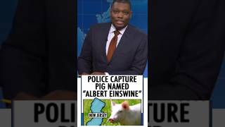Funniest Shorts Of Michael Che #funny
