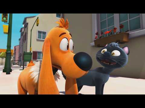 🐈‍⬛ Caporal a une dette envers Bill 🥺🐶 - Nouvelle compilation Boule et Bill épisodes complets