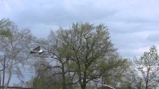 FT-Flyer Scratch Build - fun in the wind