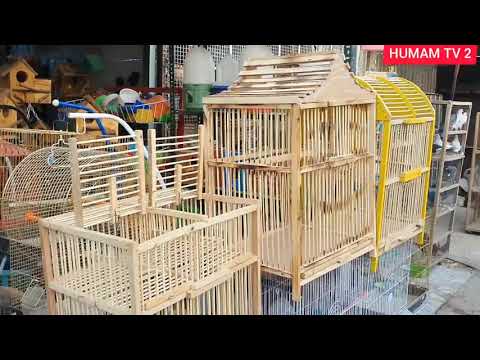 سوق بغداد الجديدة اسعار الاقفاص والمستلزمات 2021