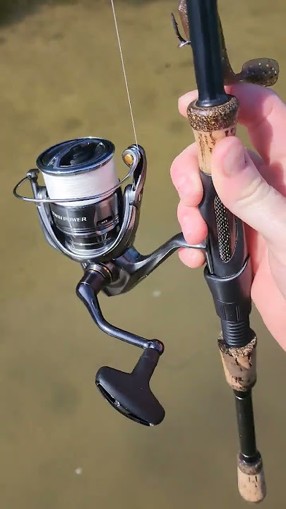 Shimano Twin Power XD FA - Angling Active