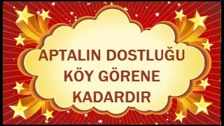 Aptalın dostluğu köy görene kadardır (atasözleri serisi)