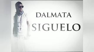 Dalmata - Siguelo