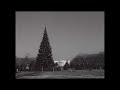 Christmas tree journey from Vermont to the White House - From our 1967 archives
