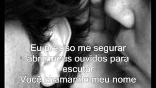 fireflight forever  (legendado)