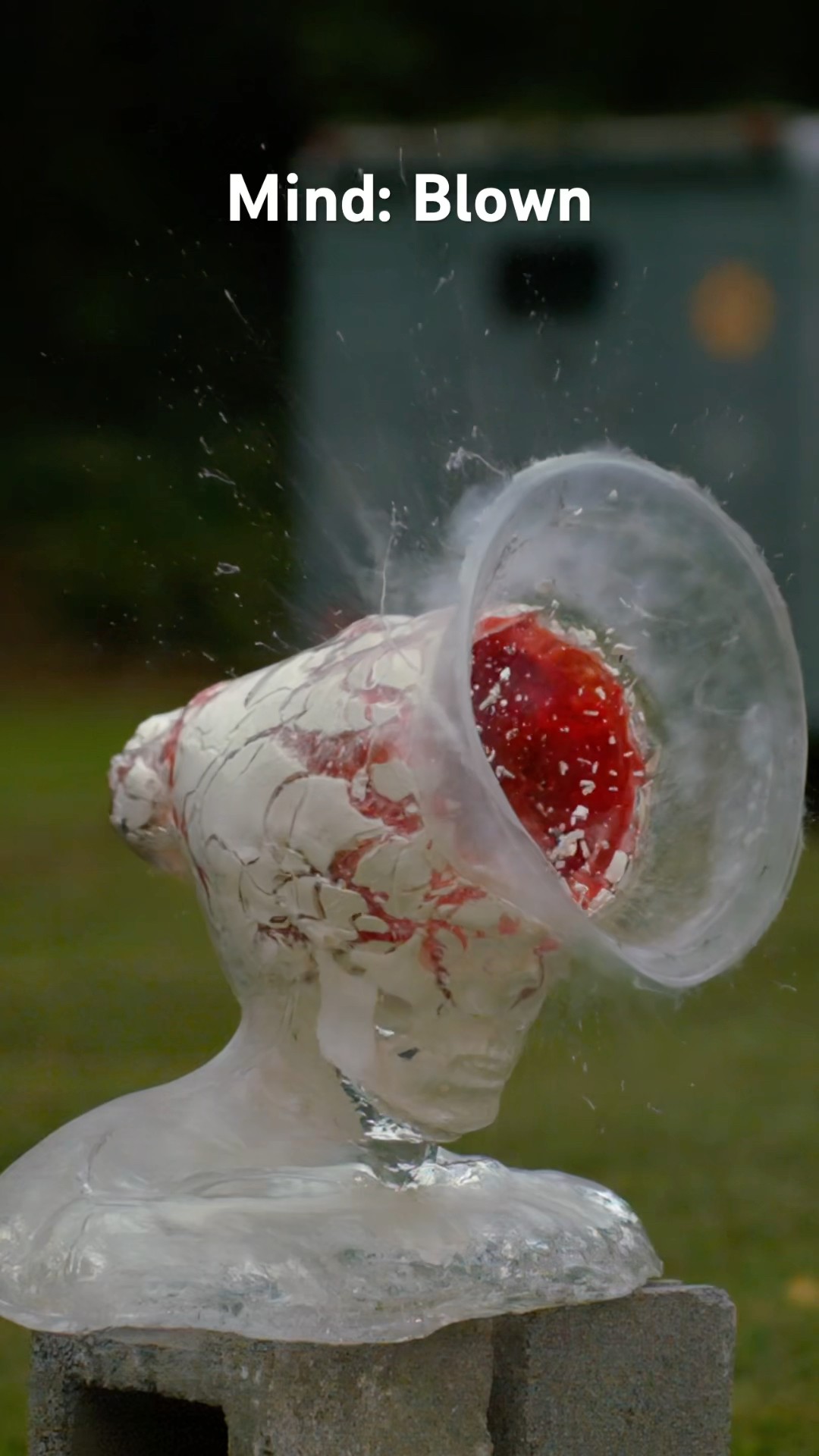 On the ‘ed, son #shorts #slowmotion #slowmoguys #headshot
