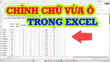 Mẹo căn chỉnh chữ vừa ô trong Excel cực hay