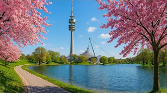 Spring Ride Through Munich’s Olympiapark 🌸🚴| Birds, Hills, BMW Welt & Sakura Trees | 4K"