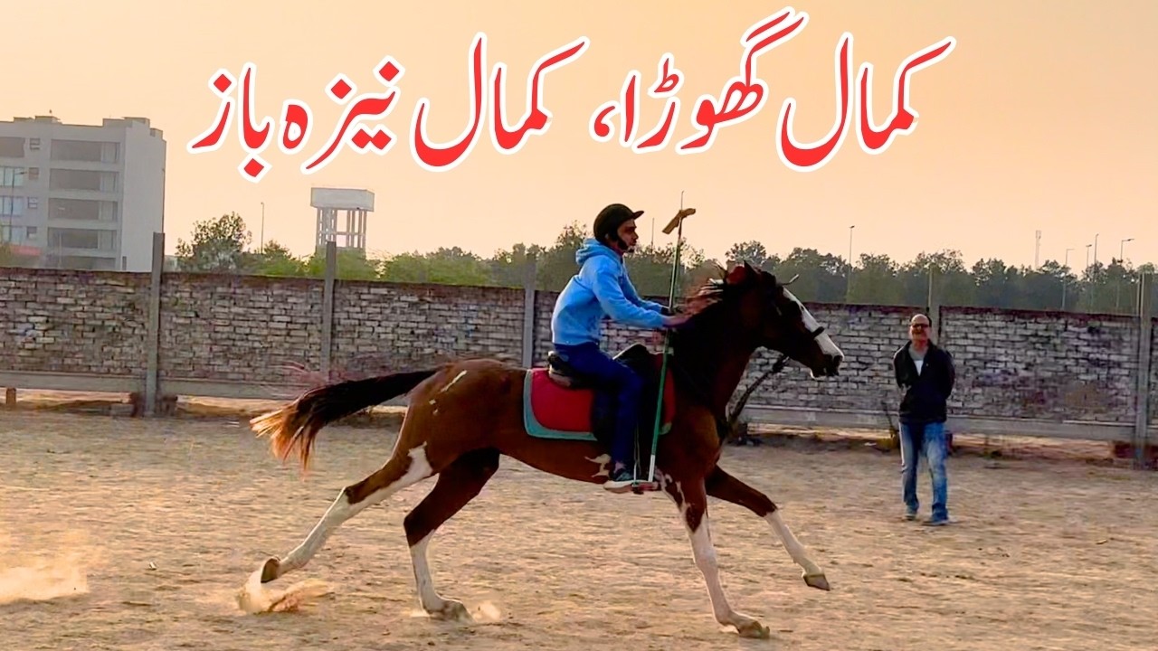 Kamal Ghora 🐎, Kamal Neza Baaz
