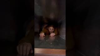Girl Loses Grip and Slides Down Laundry Chute