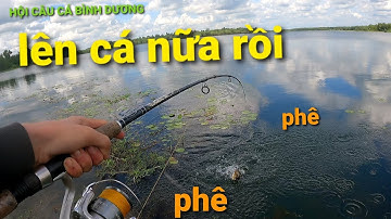 HỘI CÂU CÁ BÌNH DƯƠNG săn CÁ KHỦNG tập 2/fishing entertainment