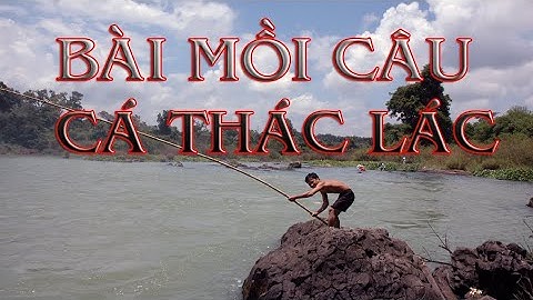 Bài mồi câu thác lác
