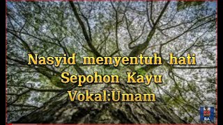 Umam-Nasyid Sepohon Kayu  Lirik  #nasyid #sepohonkayu #qotrunnada
