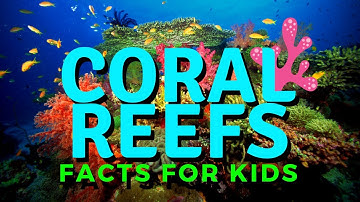 Coral Reef For Kids | Exploring the Coral Reef