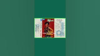 Elvy Sukaesih - Manja