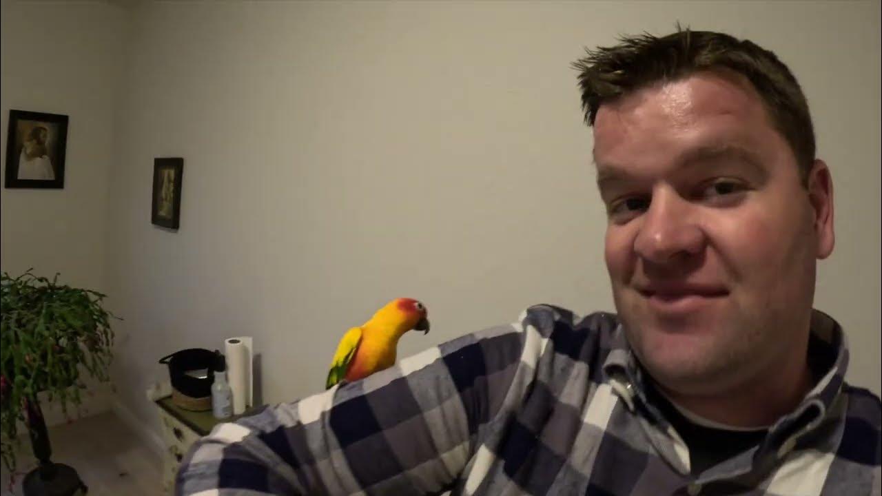 Bird Supplies Conures and more! Simply Country in Grass Valley and