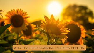 What I ve Been Warming Scentsy Edition