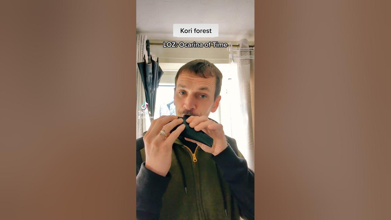 kokiri Forest Ocarina #zelda #ocarina #ocarinaoftime #tiktok #trending