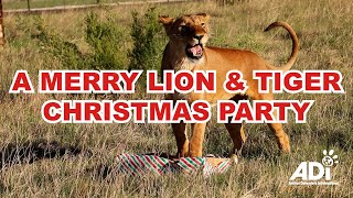 Videos | ADI Wildlife Sanctuary