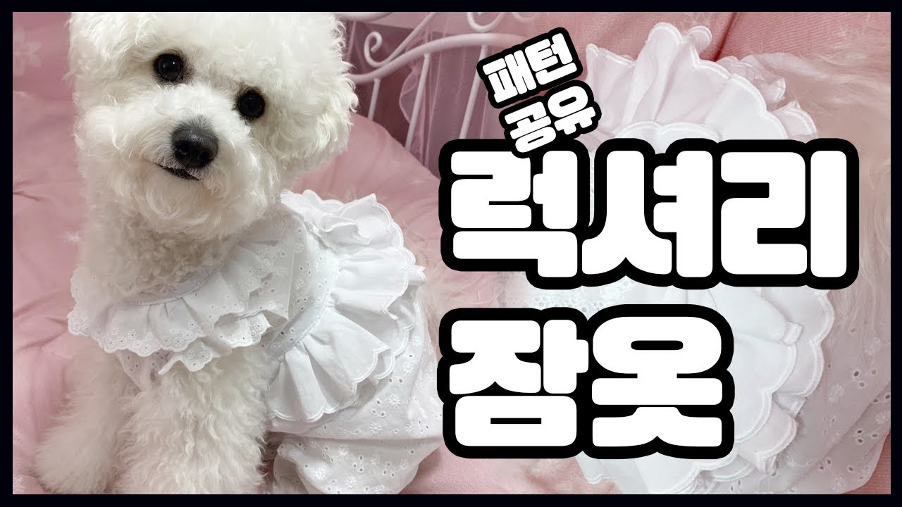 나혼자산다 김세정 잠옷 [강아지 잠옷] 럭셔리 강아지옷만들기/Puppy Pajamas