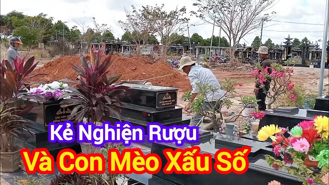 Ly Kỳ CÂU CHUYỆN KẺ NGHIỆN RƯỢU VÀ CON MÈO XẤU SỐ - chuyện tâm linh 