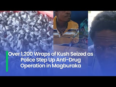 Over 1,200 Wraps of Kush Seized as Police Step Up Anti-Drug Operation in Magburaka