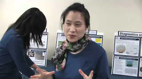 MF3&CDDiagnosticsDemo_MP4 360p (16x9).mp4