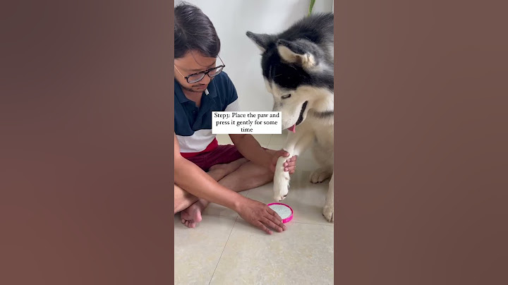 How to make Paw Print of your dogs paw at home? #dogs #ytshorts #viral #youtubeshorts #trending #diy