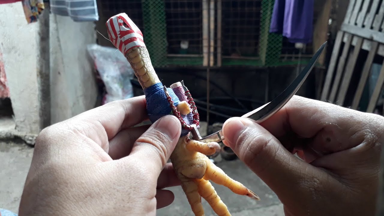 proven at tested na pagtatari upang bumagay ang asinta sa manok - YouTube