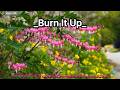 "Burn It Up" "No. 158" "Md. Naimul Islam | AI Studio" "Song" "English Song" "Music" "AI Song"