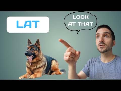 วีดีโอ: แนะนำ LAT: เกมสุนัข 