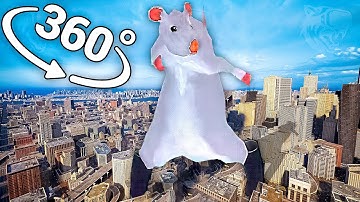 Rat dance - City in 360° Video | VR / 8K | ( Rat dance meme )