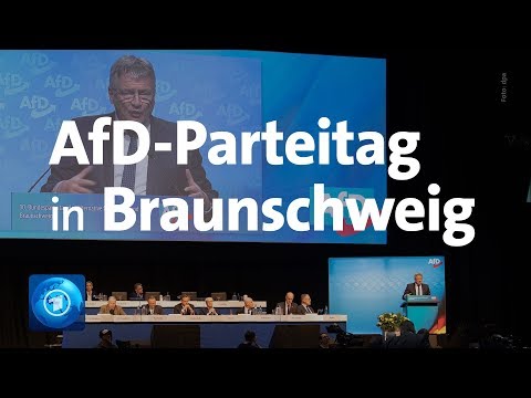 Parteitag in Braunschweig: AfD wählt neue Parteispitze - Tausende bei Gegenprotesten