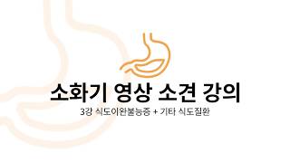 [알렌의 서재] 소화기 영상 소견 강의 3강 식도이완불능증 기타식도질환