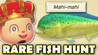 MAHIMAHI & MORE!  Animal Crossing New Horizons RARE FISH HUNT!