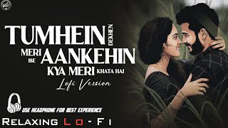 Tumhe Dekhe Meri Aankhe||| Relaxing Lo-fi Version Songs|| Bollywood Lofi Vibes|| Lofi Version 