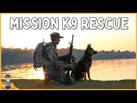 Military Dogs need your help: their courage, service, and ongoing needs