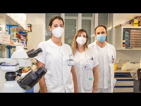 Vídeo: Partículas Residenciales Y Distancia A Las Carreteras En Relación Con La Densidad Mamográfica: Resultados De Los Estudios De Salud De Las Enfermeras