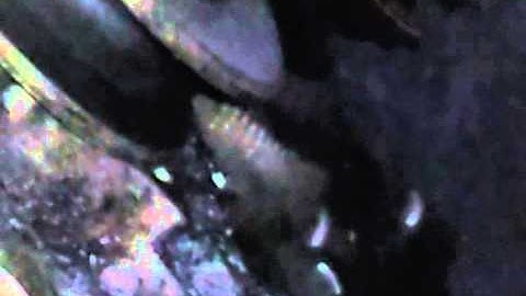 1981 280zx Timing teeth