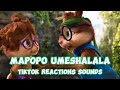 Mapopo umeshalala remix  mavokali x rayvanny  chipmunks tiktok cover song  kanaple extra