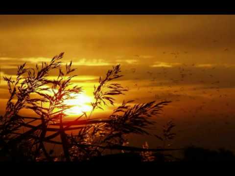 Orange Colored Sky -- Natalie Cole