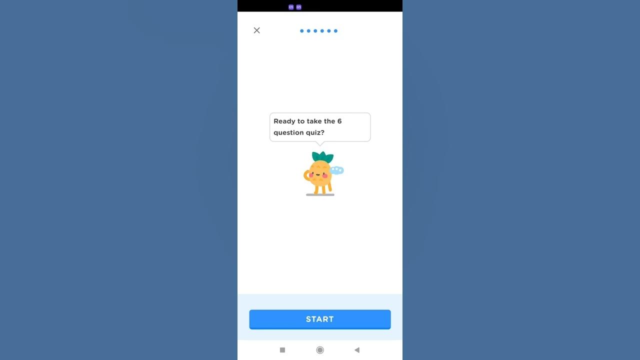 Zogo answers Zogo & Pineapples ( First Question) YouTube