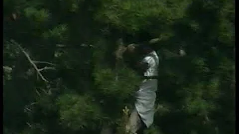 Golf - 1987 - US Open Special Feature - Coverage Of Finding Tommy Nakajima Shot That Stuck In A Tree