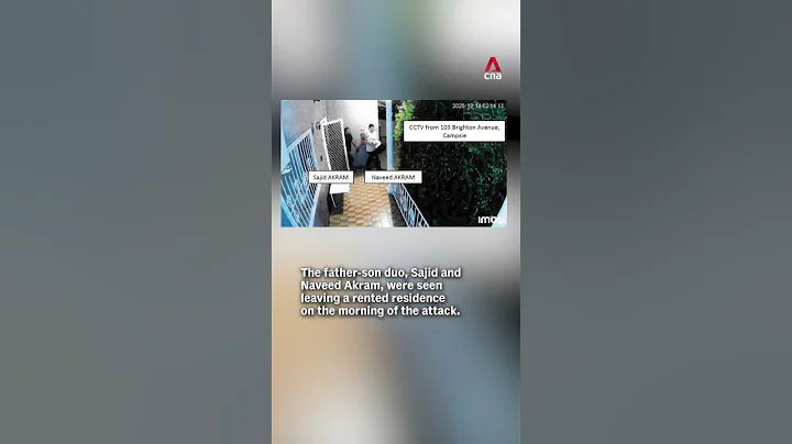 Bondi shooting: Alleged attackers conducted training in countryside, said police